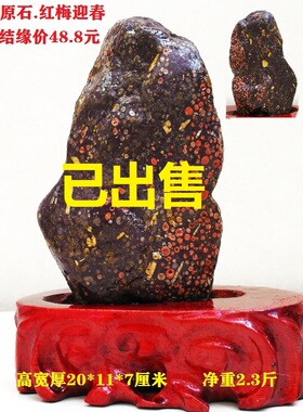 黄河天然原石精品奇石梅花彩玉