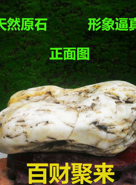 白菜象形石黄河天然原石黄蜡白玉石图案精品奇石祝贺寿礼品摆件