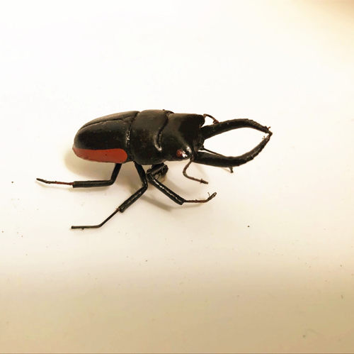仿真扁锹形虫甲壳虫大楸甲陶土昆虫动物模型宝宝识物摄影道具玩具 - 图0