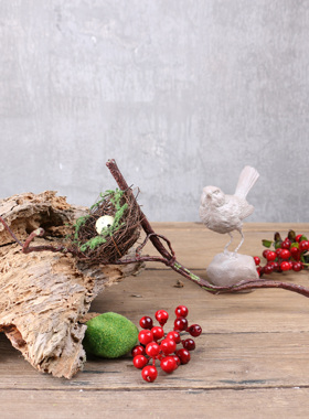 鸟蛋橱窗拍摄森林系艺术风道具