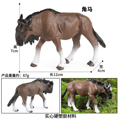 中国藏羚羊仿真模型叉角羚弯角剑羚瞪羚角马儿童认知玩具科普摆件 - 图2