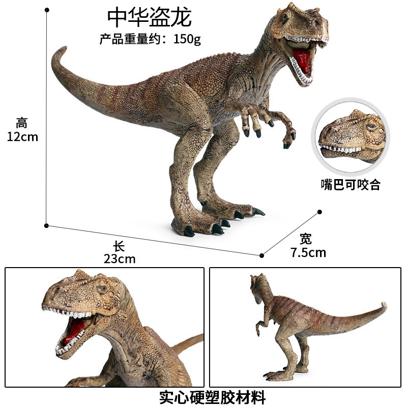 中华盗龙永川龙华阳龙马门溪龙仿真模型中国恐龙儿童玩具小摆件-图0