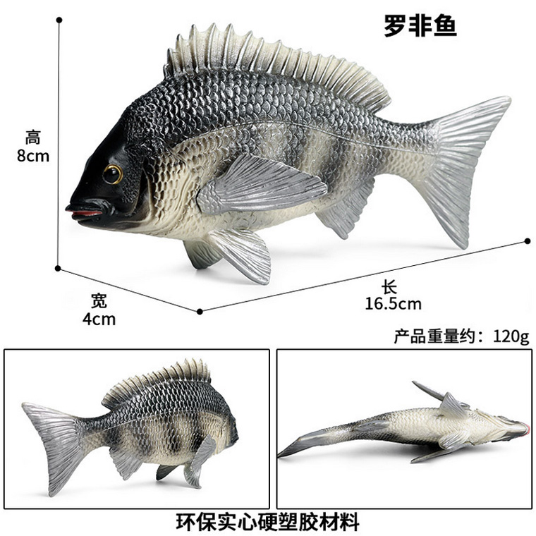 硬塑料鲶鱼仿真淡水鱼模型塘鲺鲫鱼罗非鱼中华鲟鲈鱼儿童认知玩具 - 图1