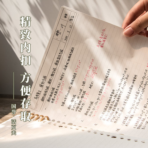 败家实验室日本国誉活页本晴空淡彩曲奇柔光一米新纯格子都市b5夹 - 图2