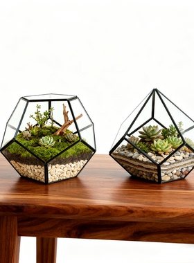 黑色几何玻璃花房微景观玻璃容器多肉花盆永生花花房网红家居摆件