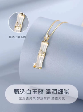 竹节项链女士款925纯银小众2025年爆款520七夕情人节礼物送女友