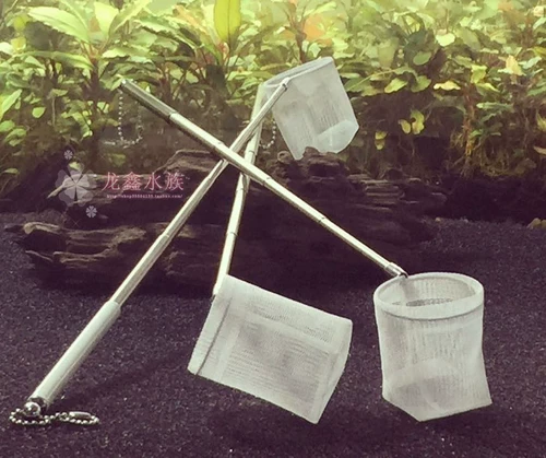 Филе креветок Копировать Zip Shipping Pure Handmade Создайте капитальный капитал, покрытый хромами чистый из нержавеющей стали, 3D стереореагист