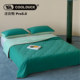 Cool Duck Cool Feeling Quilt Summer Cooling Quilt Ice Silk Air Conditioning Quilt