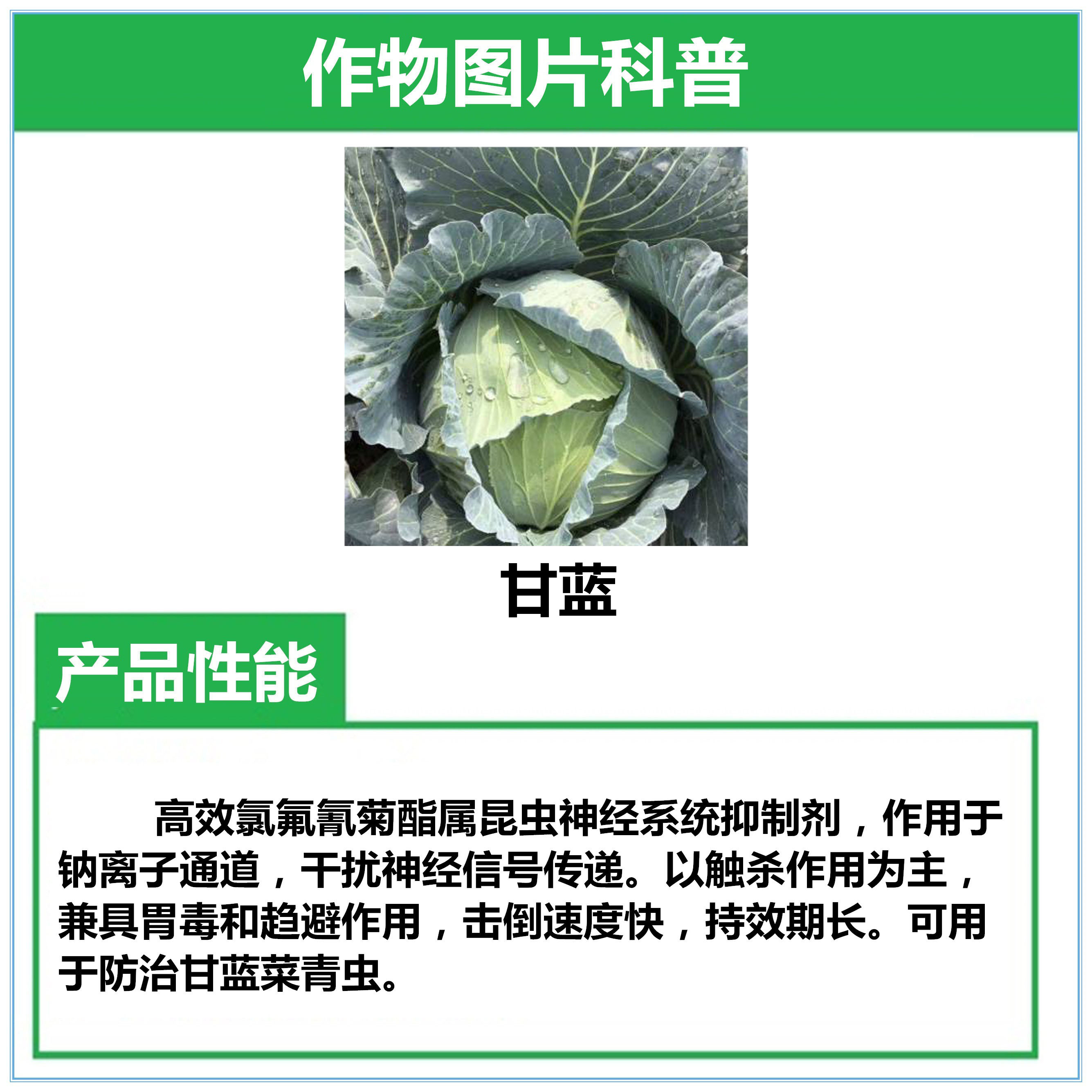 广东立威立攻高效氯氟氰菊酯10%水乳剂包邮正品大瓶装杀虫剂农药-图1