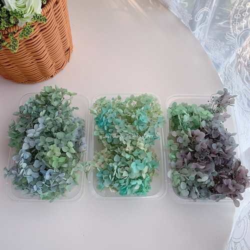 永生花绣球渐变色手工diy干花婚鞋贴脸玻璃罩花器团建活动花艺课 - 图0