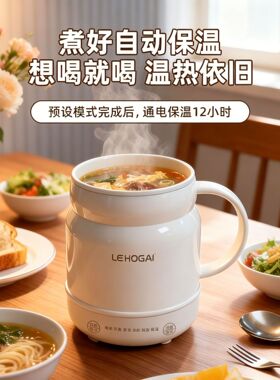 电热杯便携防粘电煮锅养生电炖杯