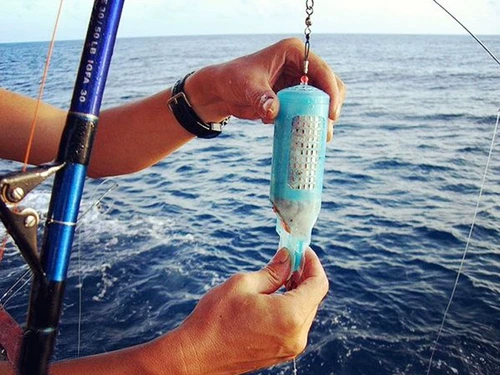 Приманка Cage Sea Fishing Team Bijia Line Group Group Scewhers Night Light Crimp Cage Южная масла Большая зеленая игла куриная клетка живое гнездование приманки