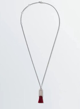 中性烈焰红纳米毛刷项链轻奢百搭