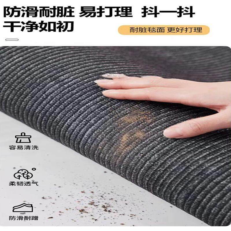 入户门地垫2025新款进门门口脚垫高端防滑耐脏玄关地毯门外蹭脚垫,淘宝优惠券,粉丝福利购,淘宝优惠卷