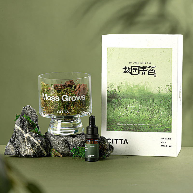 CITTA西苔松木青苔系香薰礼盒家居卧室内持久精油香氛摆件扩香木 - 图2