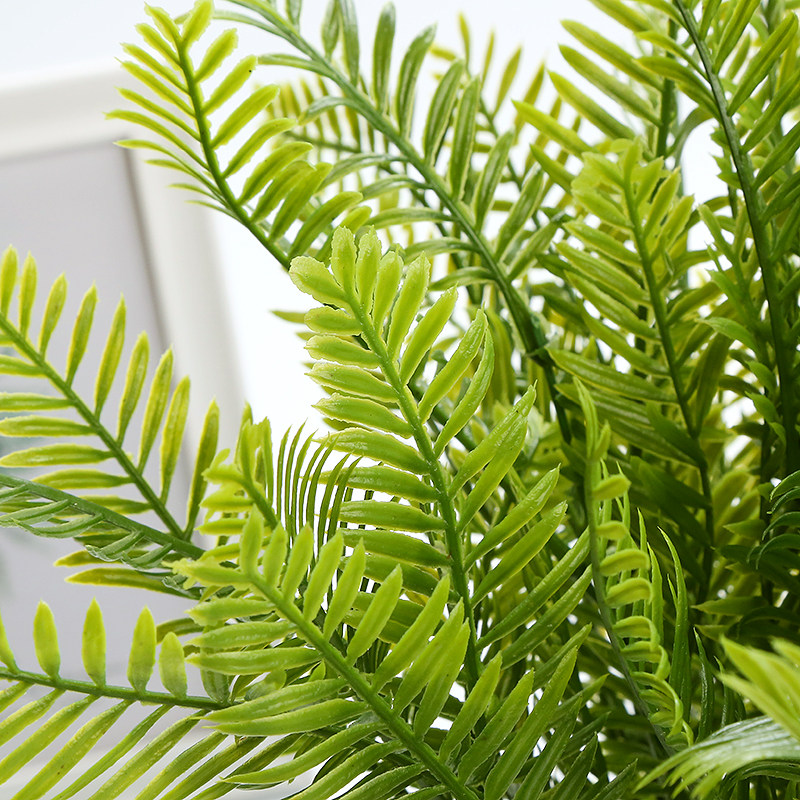 仿真植物背景墙装饰配材塑料假花绿植仿真草蕨类植物波斯草排草,淘宝优惠券,粉丝福利购,淘宝优惠卷