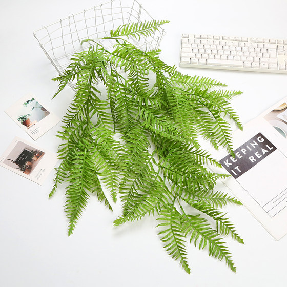 Wall hanging decoration simulated green plant fern plastic rattan