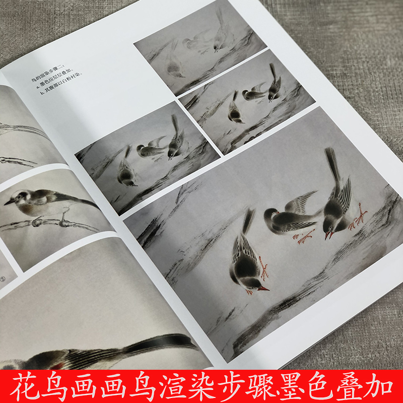 中国美院花鸟画法详解 张赤著 白描写生工笔花鸟意笔花鸟绘画技法构图范列解析花鸟画入门临摹画册页作品创作教学梅兰竹菊画法教程 - 图1