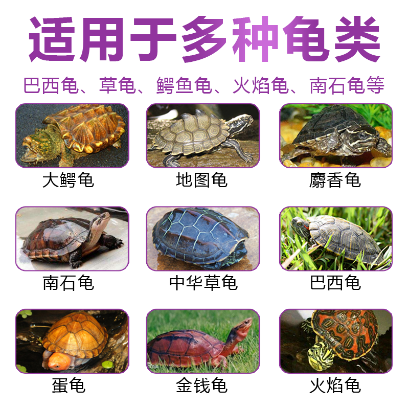 乌龟白眼病专用腐皮腐甲疥疮烂甲消毒杀菌 龟速康1号 鳖菌灵药,淘宝优惠券,粉丝福利购,淘宝优惠卷