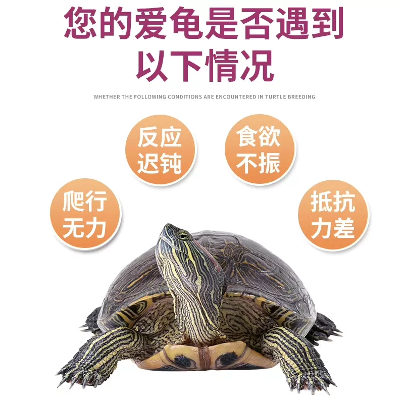 乌龟白眼病专用腐皮腐甲疥疮烂甲消毒杀菌 龟速康1号 鳖菌灵药,淘宝优惠券,粉丝福利购,淘宝优惠卷