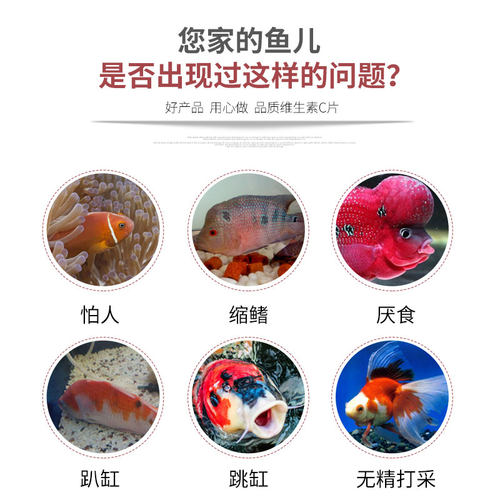维生素c鱼用非鱼药维C龙鱼水族维他命鱼缸营养液锦鲤鱼水族益生菌 - 图1