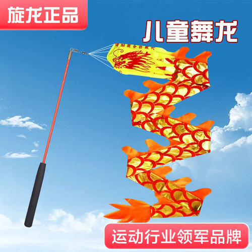 舞龙彩带健身甩甩龙表演道具儿童广场彩带舞手耍龙初学杆甩空竹龙 - 图2