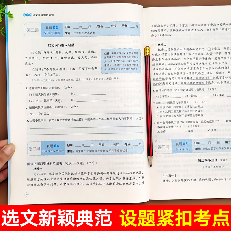 小升初语文阅读理解专项训练练习题人教版六年级阅读练习文言文组合课外阅读系统总复习强化练习题小学小学生现代文古诗文课外 - 图1