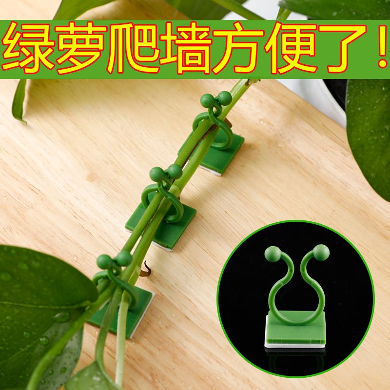 绿萝爬墙神器固定器绿植攀爬夹子无痕卡不伤墙上挂钩强力粘爬藤杆 - 图0