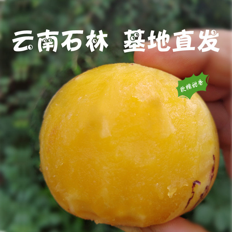 盛果邻  云南石林风化石人参果路花村黄心肉树上熟新鲜水果包邮,淘宝优惠券,粉丝福利购,淘宝优惠卷