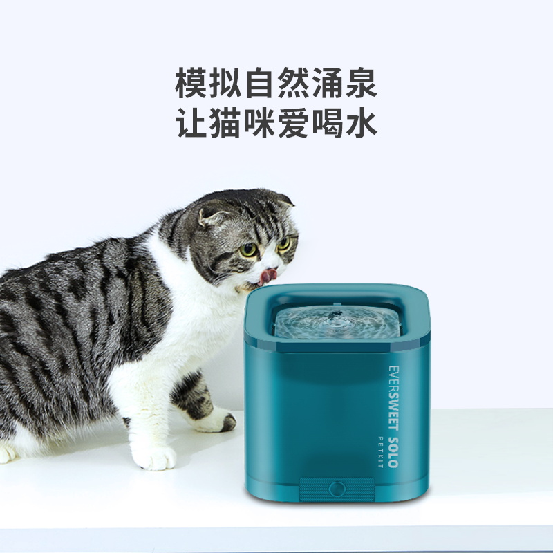 小佩solo猫咪自动饮水机狗狗循环活水饮水器宠物喝喂水用品不漏电 - 图1