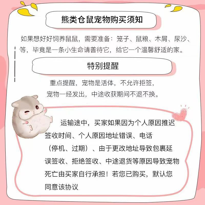 金丝熊仓鼠活物已打疫苗家养金丝鼠小型好养随身小宠物珍珠熊活体-图2