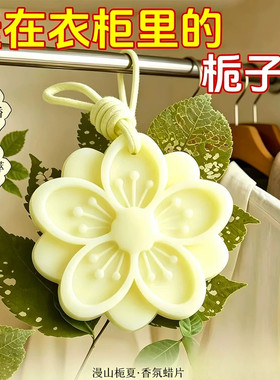 衣柜香薰蜡片女生淡香衣橱鞋柜