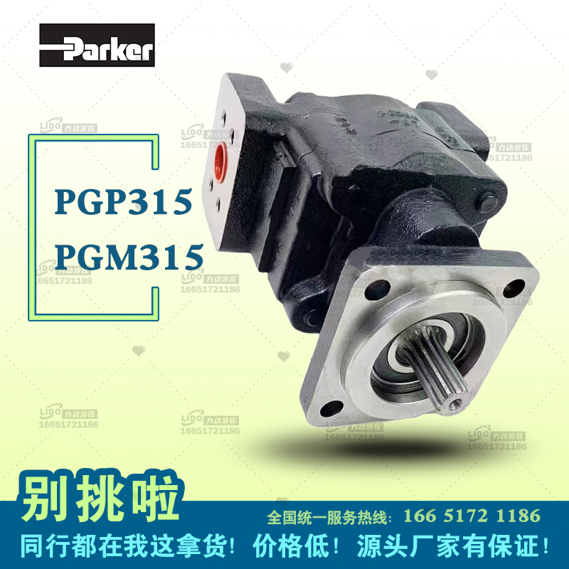 Parker派克液压高压齿轮泵7029111079 PGP620A0360CD1H3NE8E6B1B1 - 图2