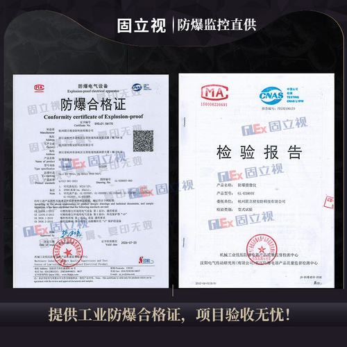 400万高清防爆监控摄像机头白光全彩304不锈钢海康机芯化工加气站 - 图0