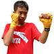 Hingpai boxer straps in various colors
