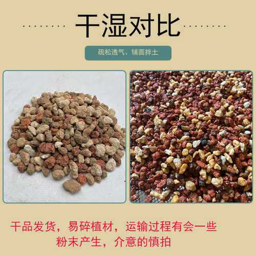 赤玉土植金石三合一专用土多肉红土粒石斛多肉护茎土高档铺面兰花 - 图0
