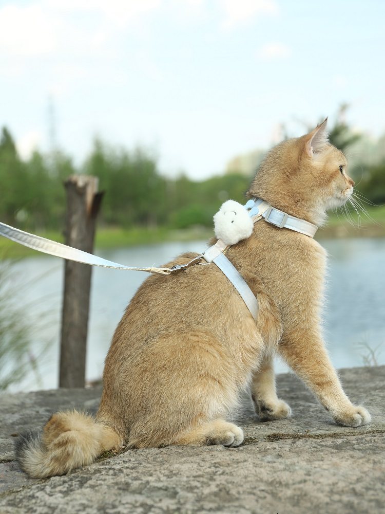 猫咪牵引绳遛猫绳防挣脱猫绳子猫猫外出栓猫链子猫背带可调节挂绳,淘宝优惠券,粉丝福利购,淘宝优惠卷