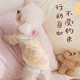 Dog clothes autumn and winter warm lace sweater