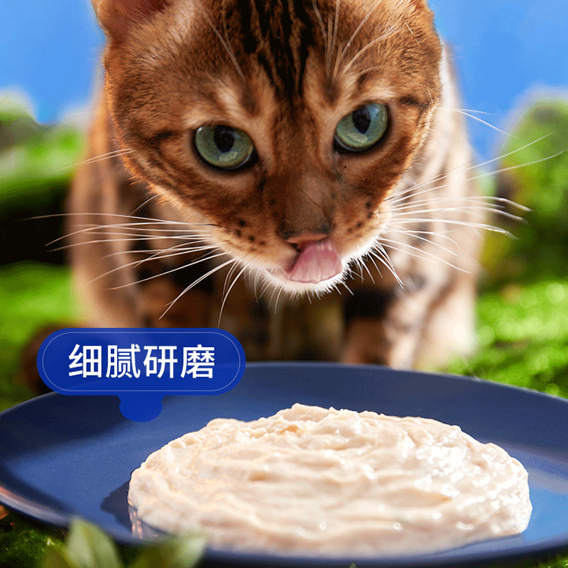 蓝氏全价主食餐包“蒸”鲜猫饭成幼猫增肥营养猫条零食生骨肉湿粮,淘宝优惠券,粉丝福利购,淘宝优惠卷
