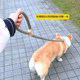 Hoopet Dog Leash P Chain Dog Walking