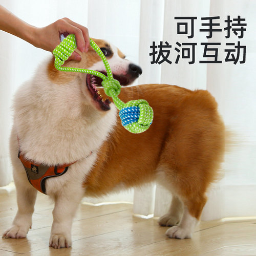 狗狗玩具狗咬绳耐咬磨牙绳结球拔河金毛泰迪博美幼犬大小型犬拉扯 - 图1