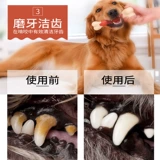 Музша костяная костяная кость маки лабрадор продукты собака