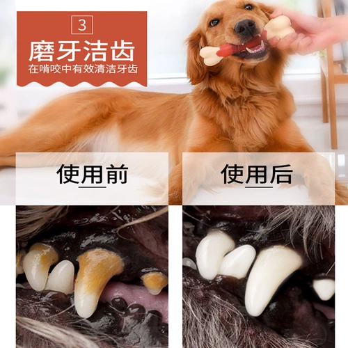 Музша костяная костяная кость маки лабрадор продукты собака