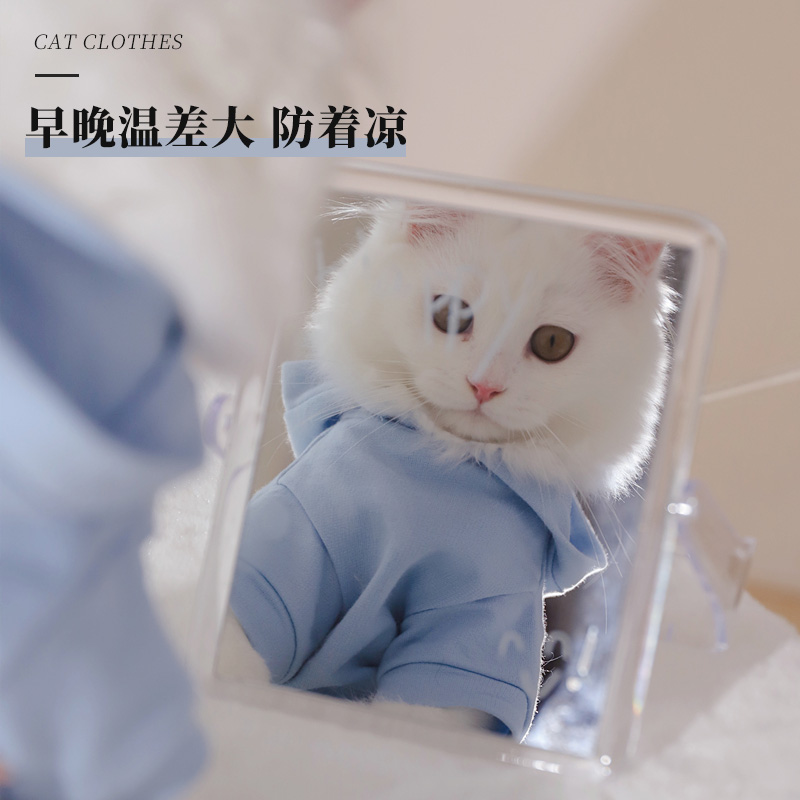 猫咪衣服薄款幼猫公猫小猫冬季宠物防掉毛布偶猫秋季冬天猫猫秋冬 - 图0