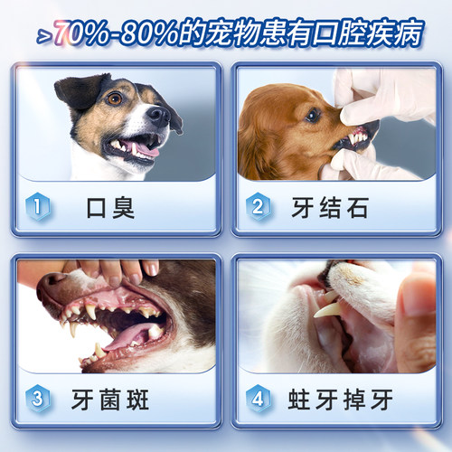 猫咪洁牙清洁牙齿指套去狗狗口臭除宠物口腔洗牙湿巾结石刷牙牙刷 - 图2