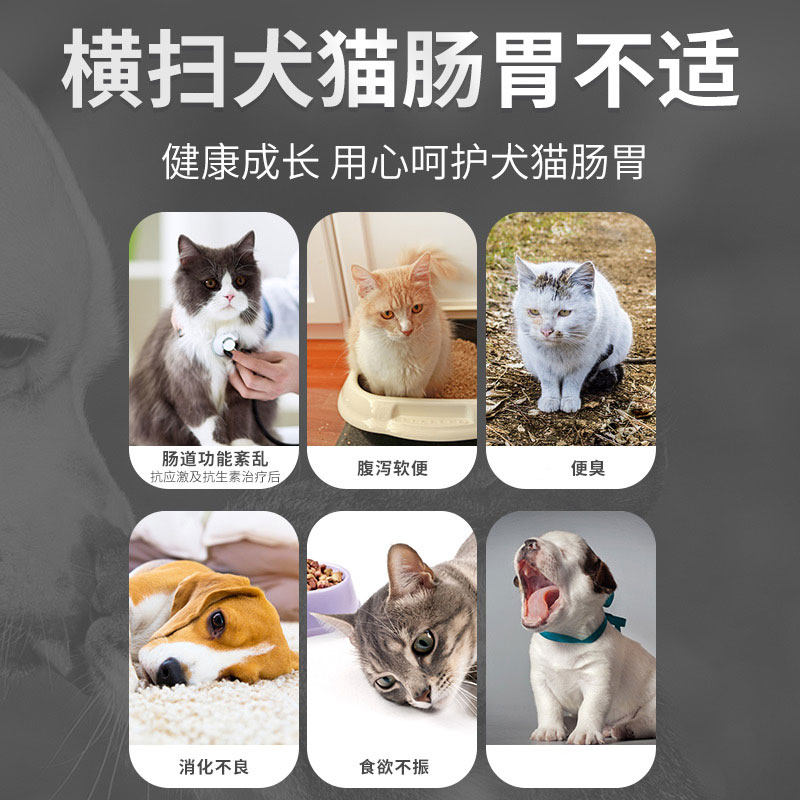 mag猫咪益生菌布拉迪分装调理酵母 华元宠物用品猫/狗保健品