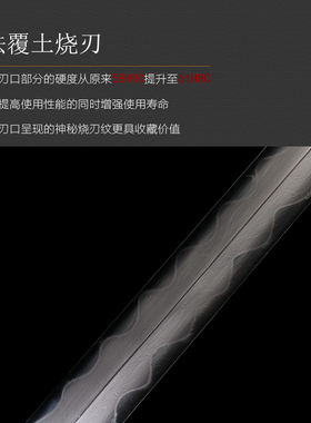 龙泉市神炉宝剑刀剑鱼皮唐剑