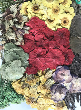 手工干花顺峰压花押花滴胶diy