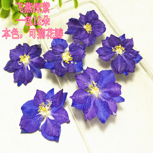 飞燕花 千鸟花押花压花材料滴胶干花植物教学标本diy手工天然真花 - 图0