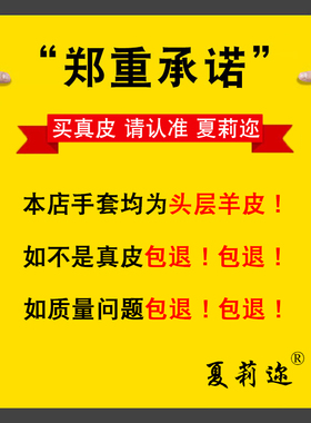 真皮手套男女冬季开车保暖加绒加厚骑行骑车摩托车海宁绵羊皮手套